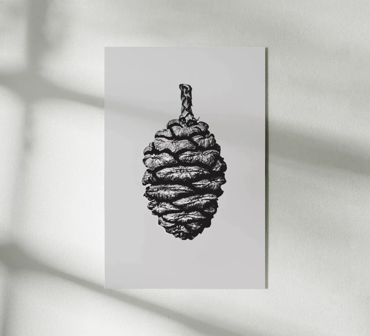 Big Pine Cone plexiglass da Mareike Böhmer Photography