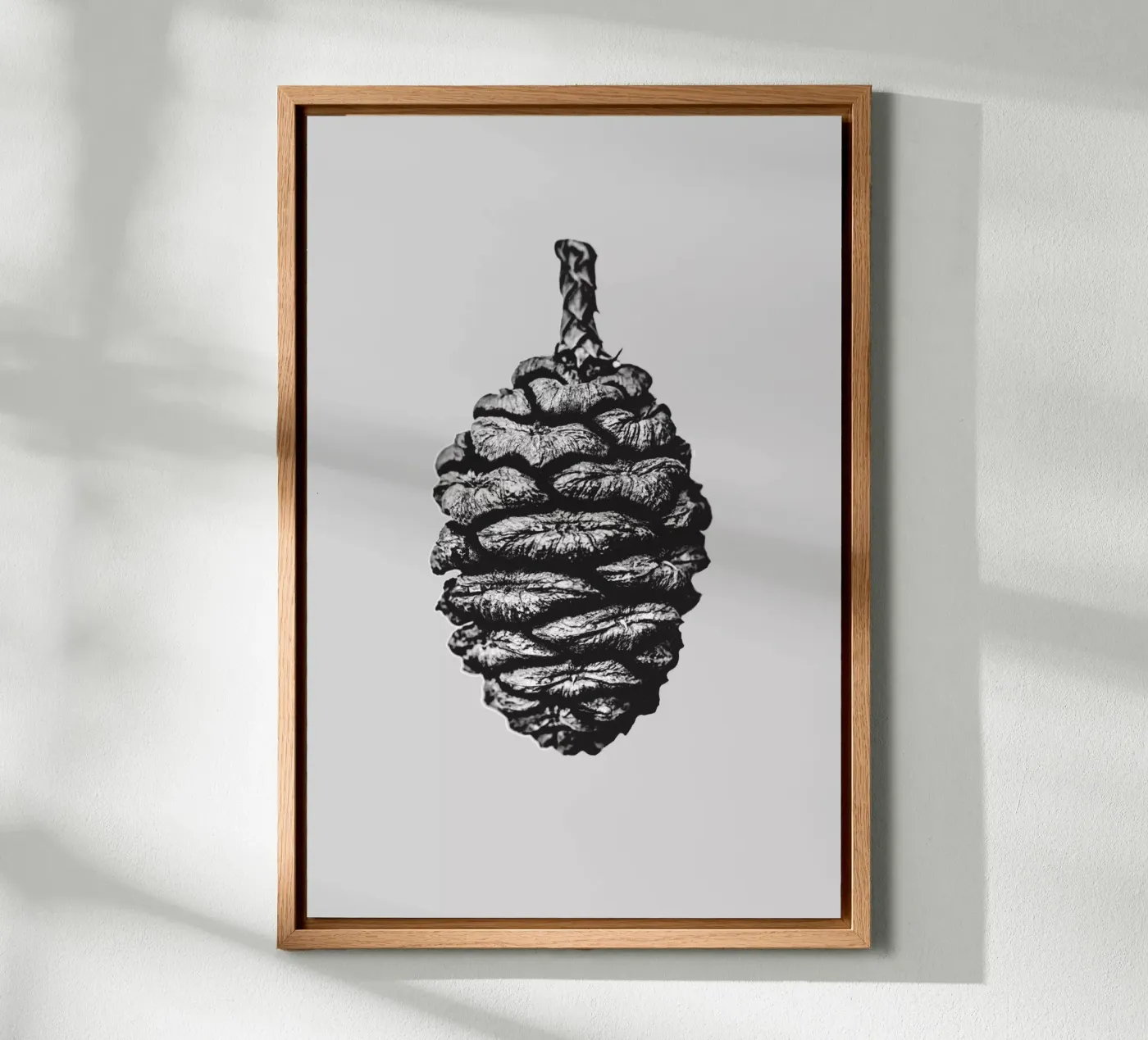 Big Pine Cone pannello forex da Mareike Böhmer Photography