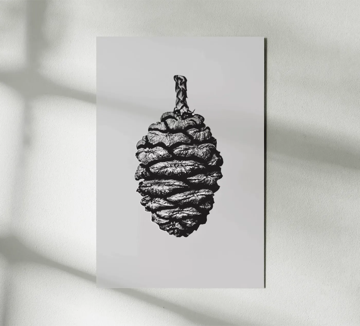 Big Pine Cone pannello forex da Mareike Böhmer Photography