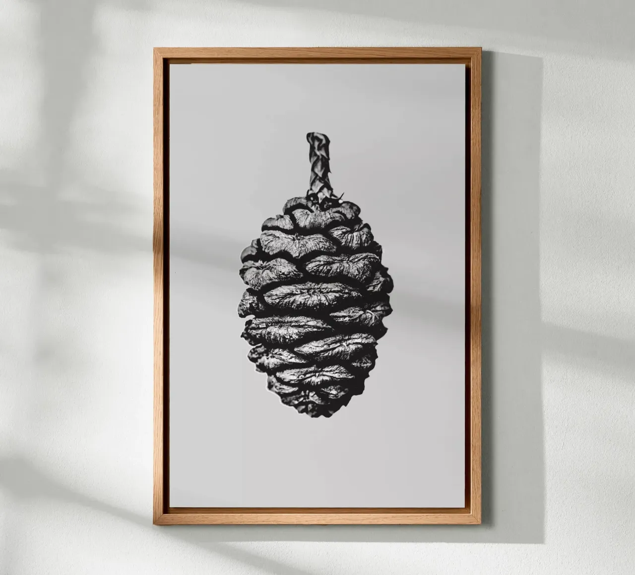 Big Pine Cone tela con Cornice a cassetta da Mareike Böhmer Photography