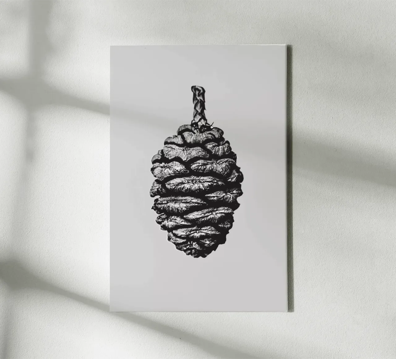 Big Pine Cone tela con Cornice a cassetta da Mareike Böhmer Photography