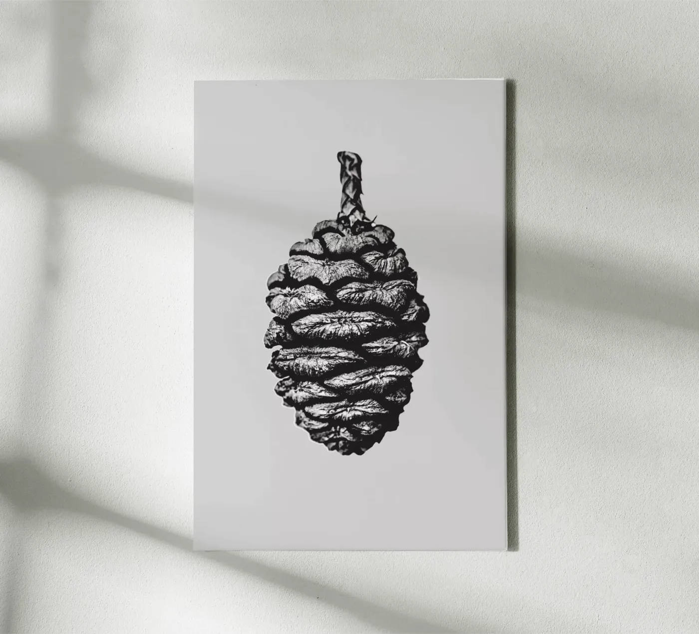 Big Pine Cone tela da Mareike Böhmer Photography