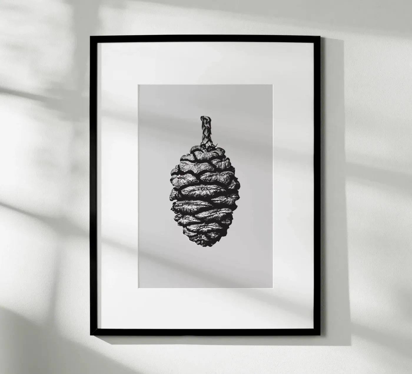 Big Pine Cone Poster von Mareike Böhmer Photography