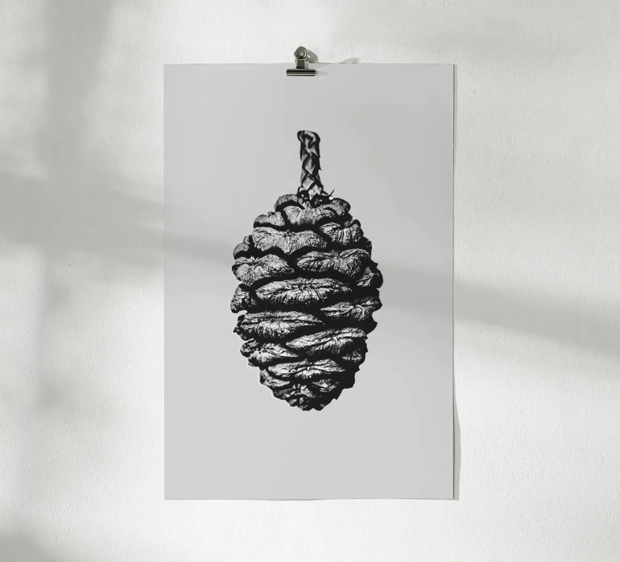 Big Pine Cone poster da Mareike Böhmer Photography