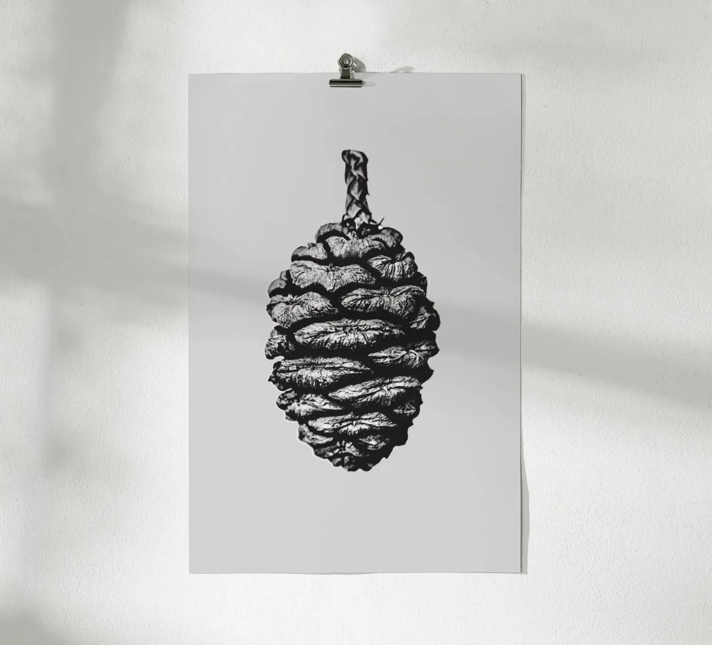 Big Pine Cone Poster von Mareike Böhmer Photography