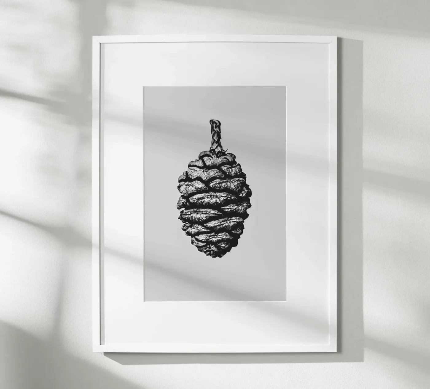 Big Pine Cone Poster von Mareike Böhmer Photography