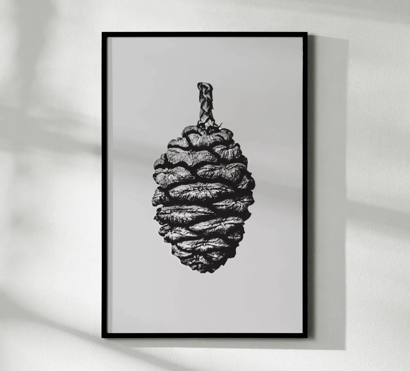 Big Pine Cone Poster von Mareike Böhmer Photography
