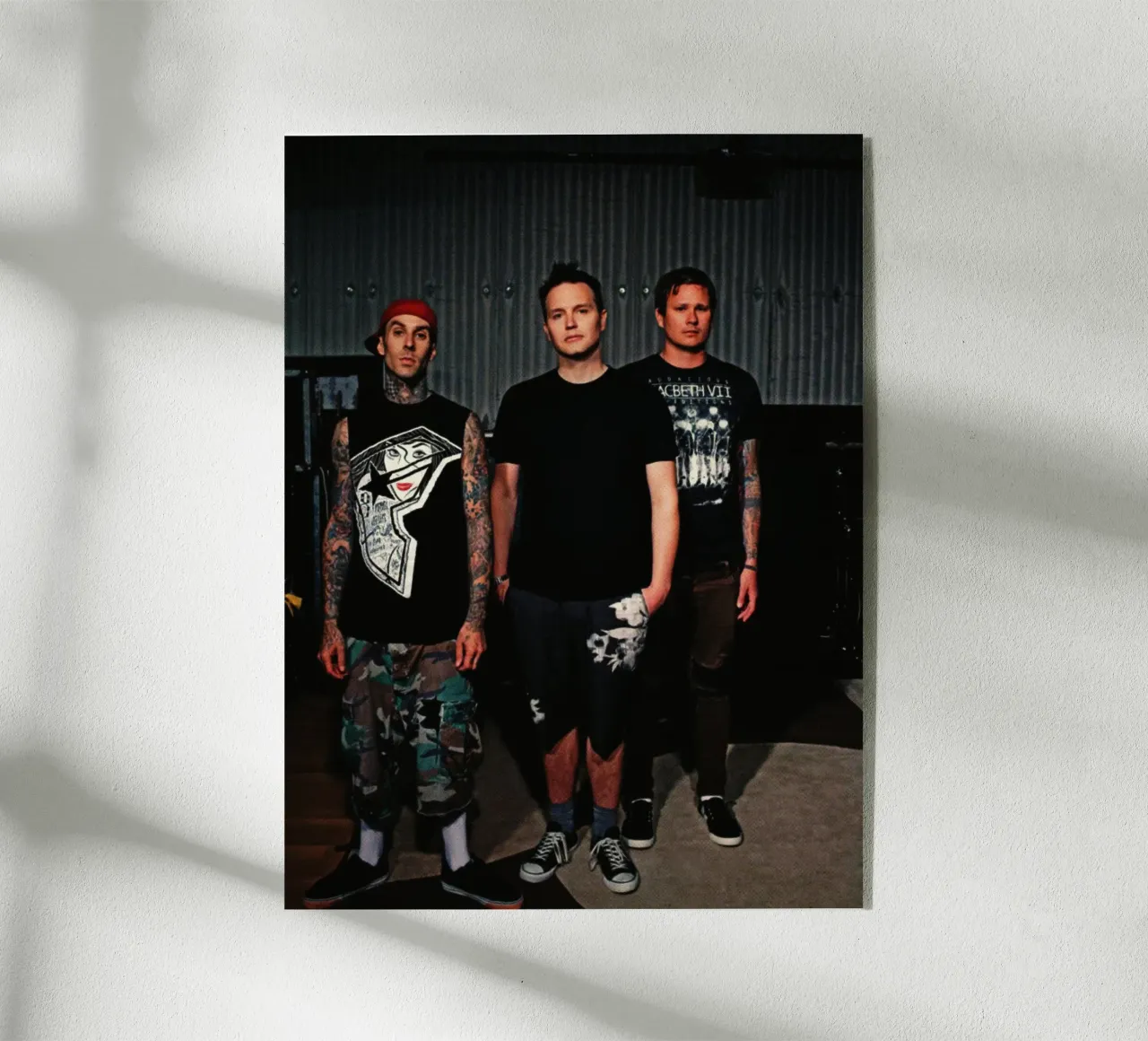 Blink 182 plexiglass da Torres 9