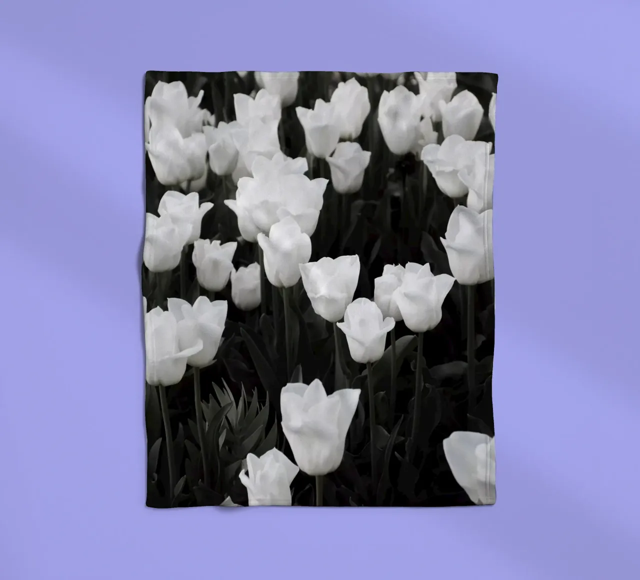 tulipano bianco paradiso di primavera coperta in pile da Studio Nahili