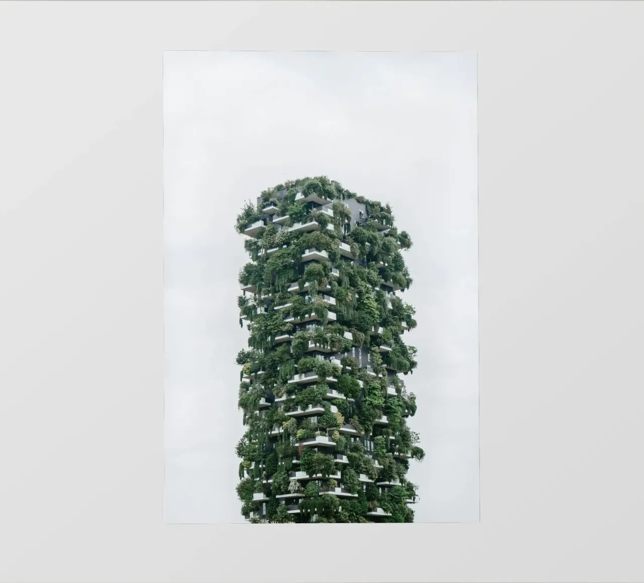 sky forest building telo in pvc da feny