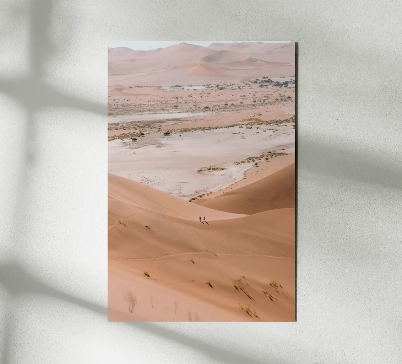 walking in desert alluminio dibond da feny