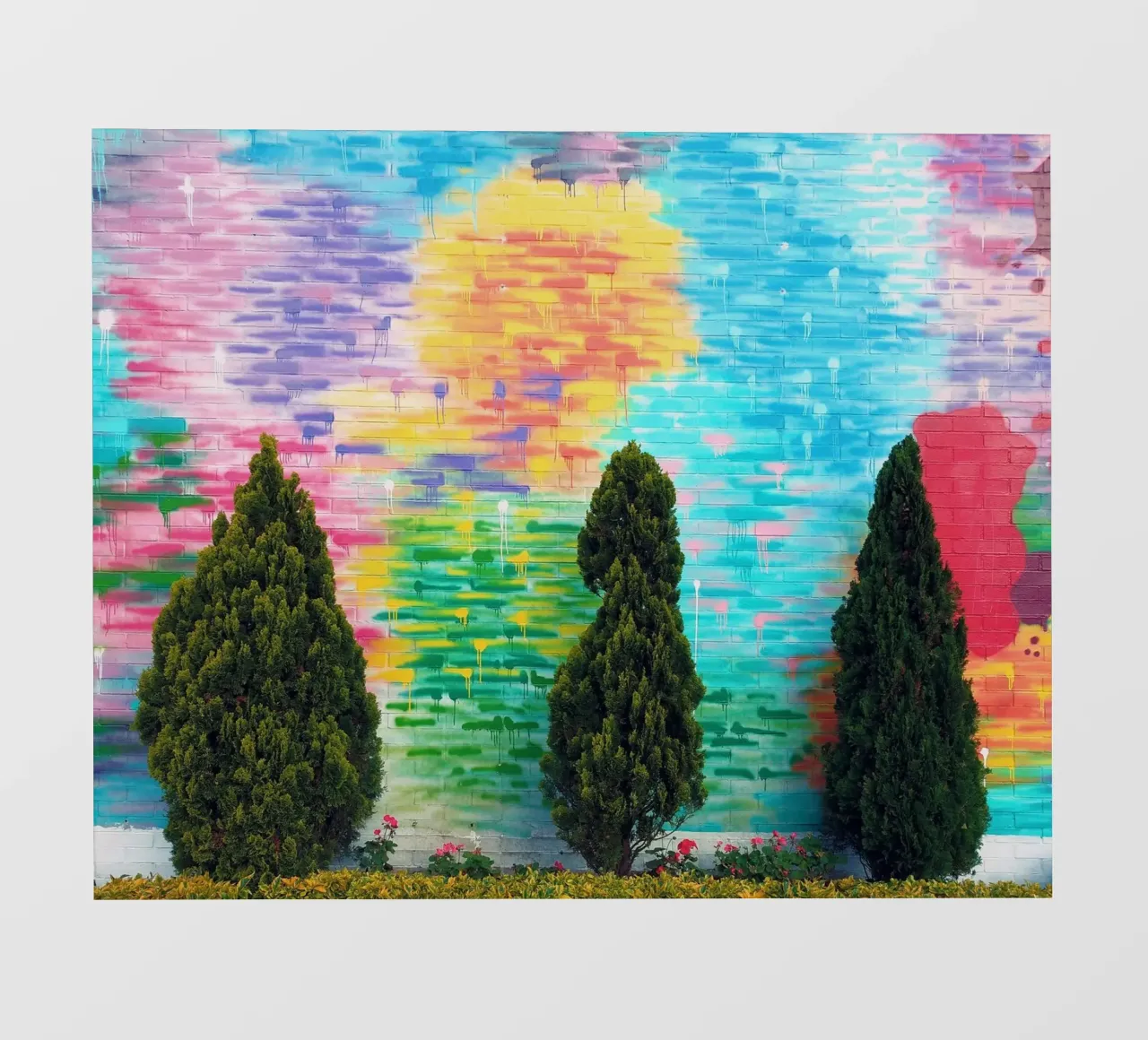 tree in color wall pellicola backlit da feny