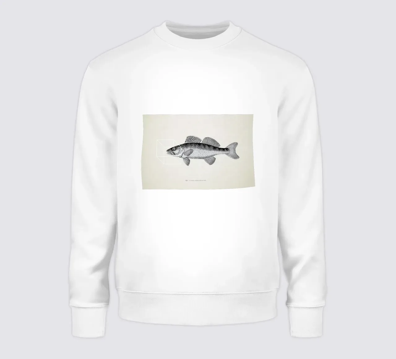 Fish#1 felpa da Matteo Morelli