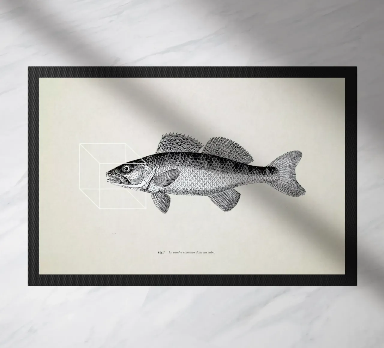 Fish#1 zerbino da Matteo Morelli