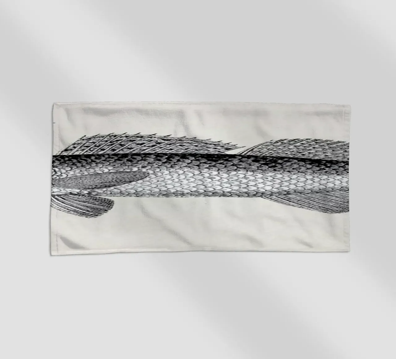 Fish#1 telo mare da Matteo Morelli