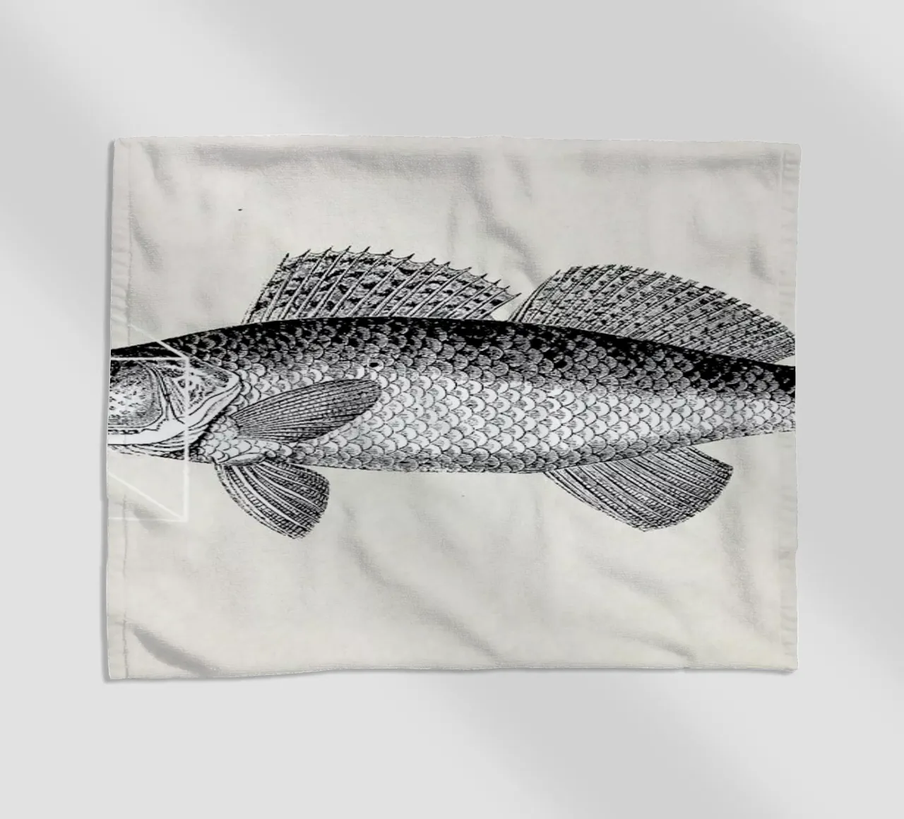 Fish#1 telo mare da Matteo Morelli