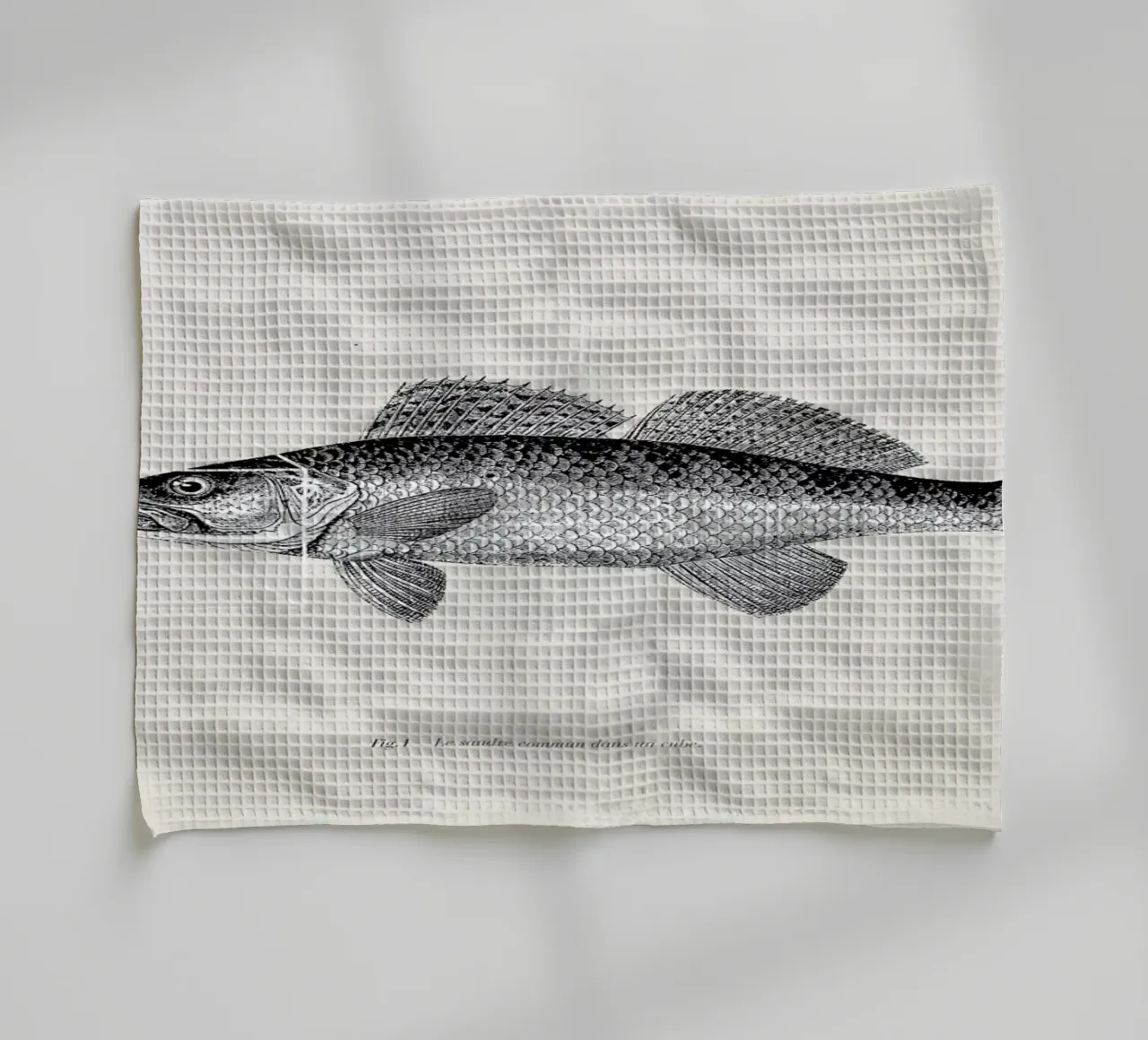 Fish#1 canovaccio da cucina da Matteo Morelli
