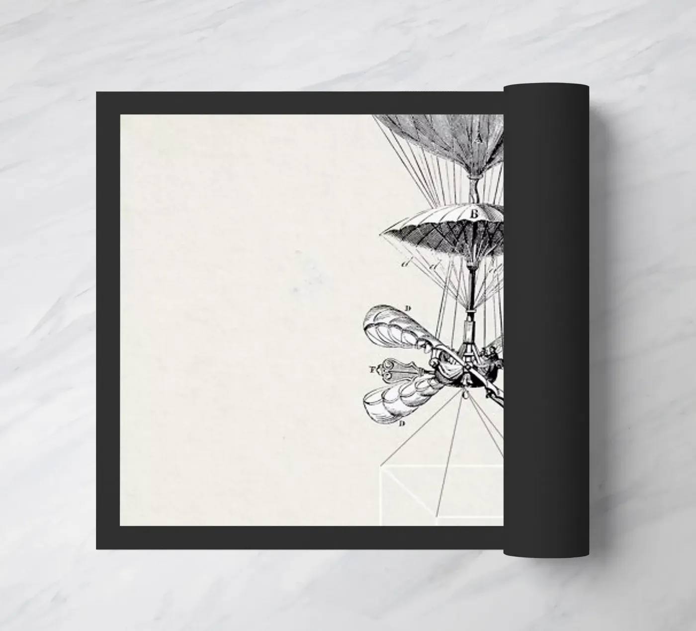 Montgolf zerbino da Matteo Morelli