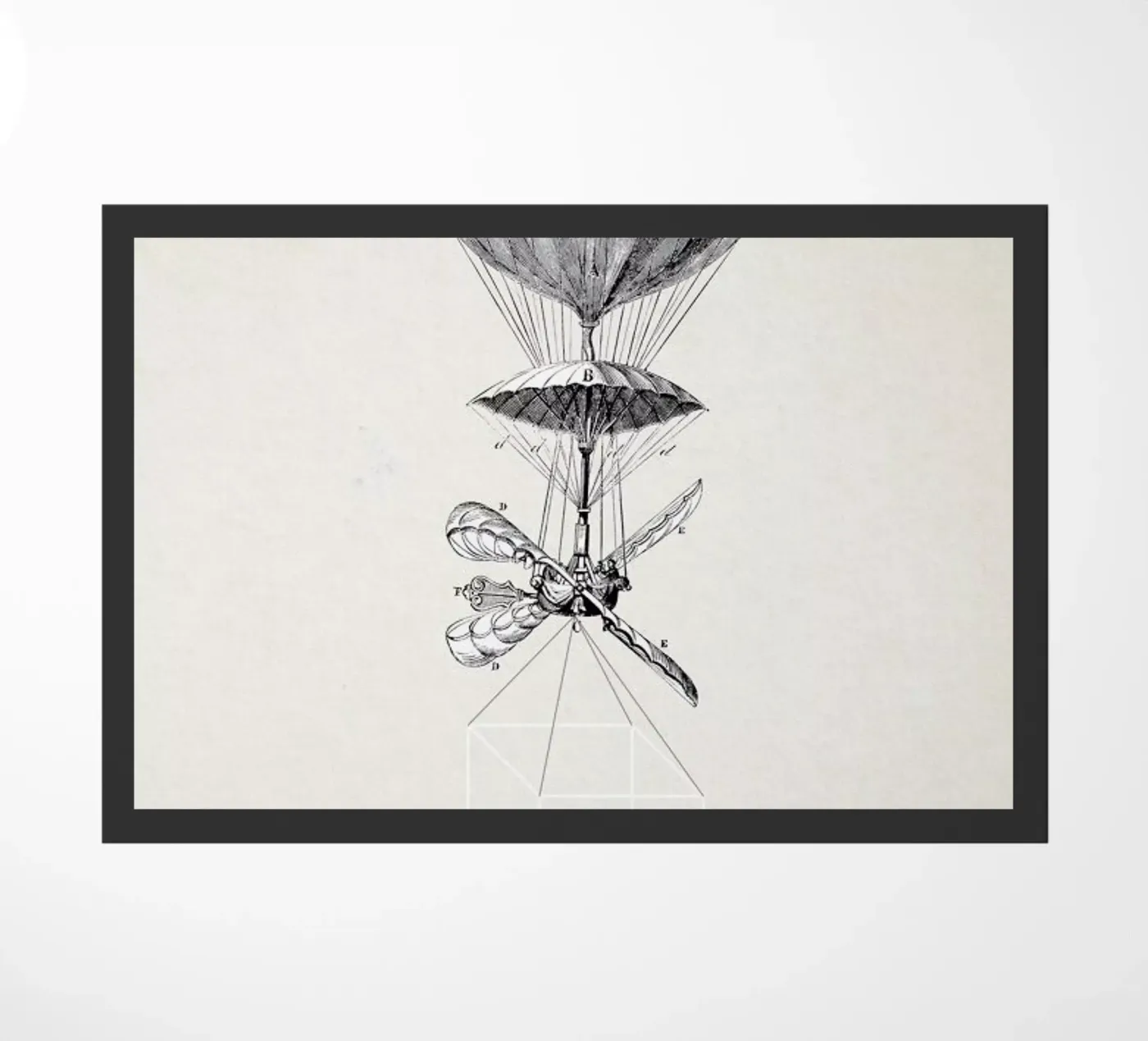 Montgolf zerbino da Matteo Morelli