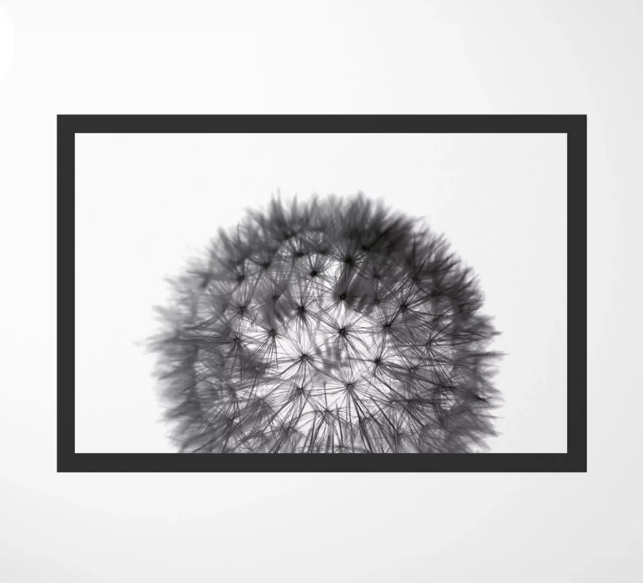 grey GRAFIC dandelion zerbino da Studio Nahili