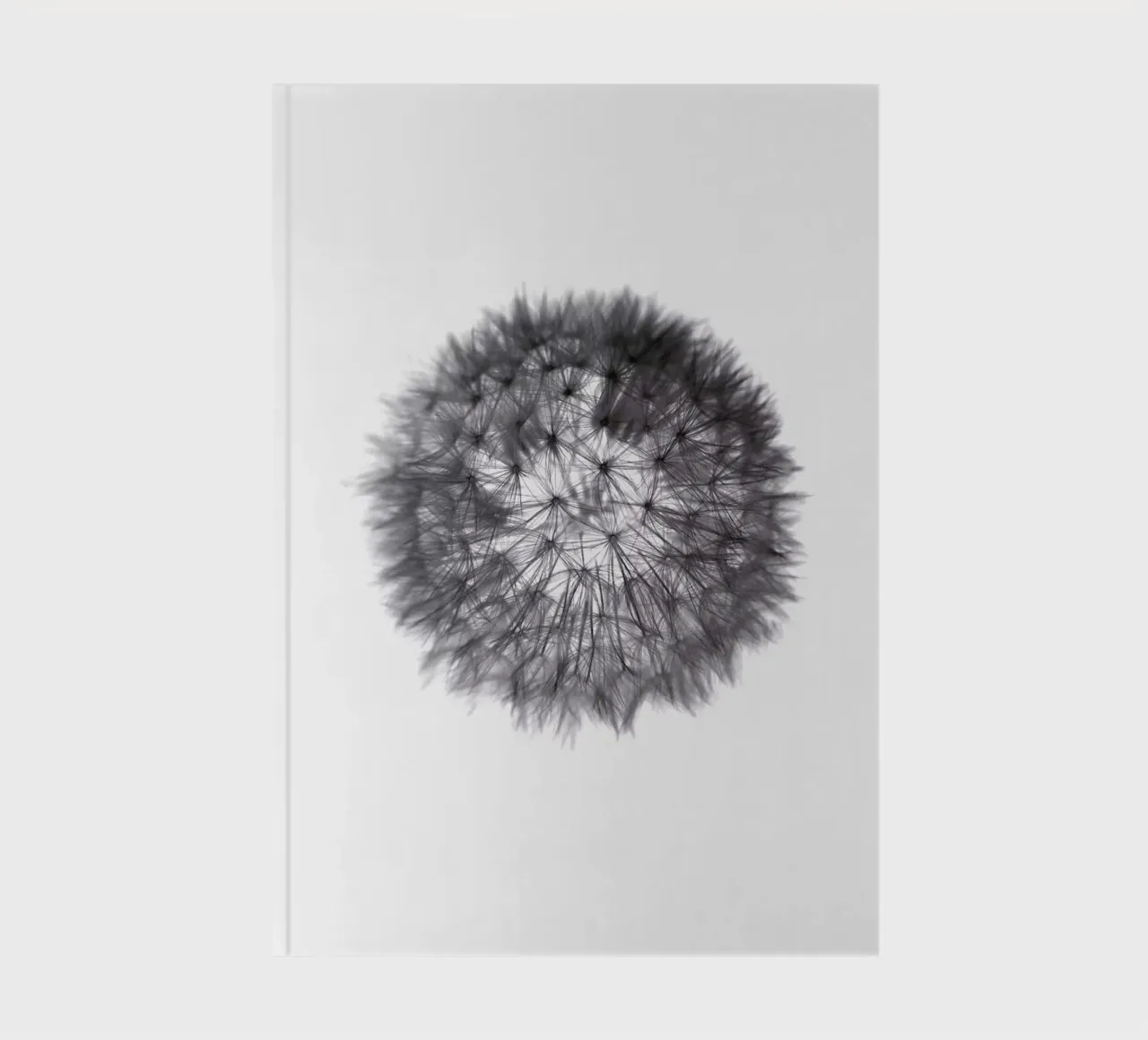 grey GRAFIC dandelion notebook by Studio Nahili