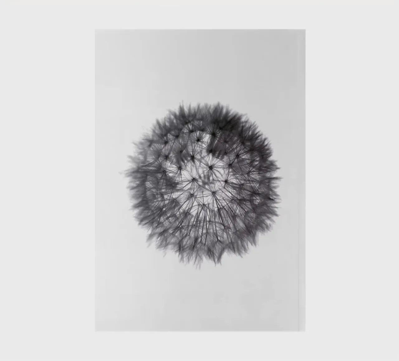 grey GRAFIC dandelion notebook by Studio Nahili