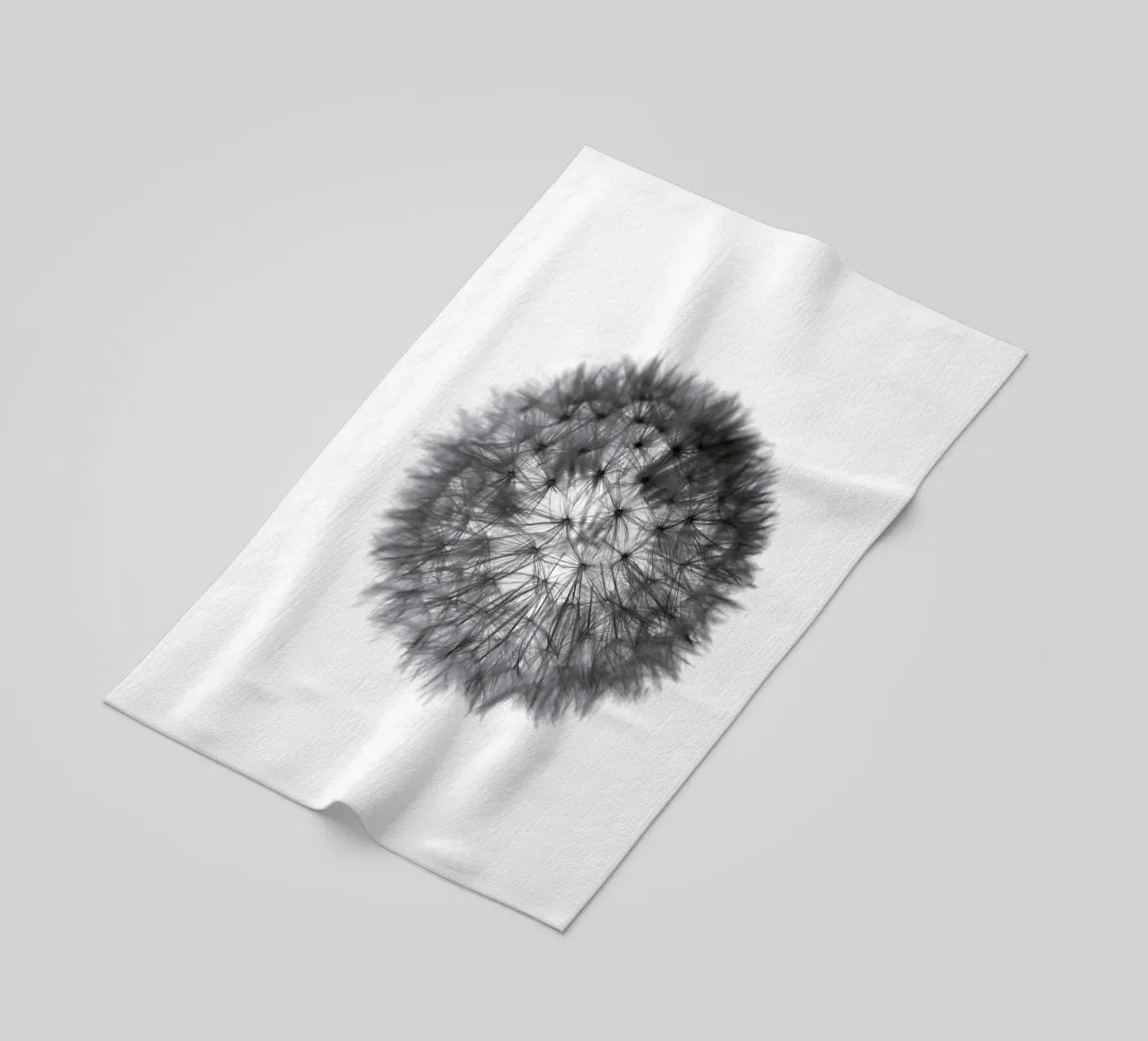 grey GRAFIC dandelion telo mare da Studio Nahili