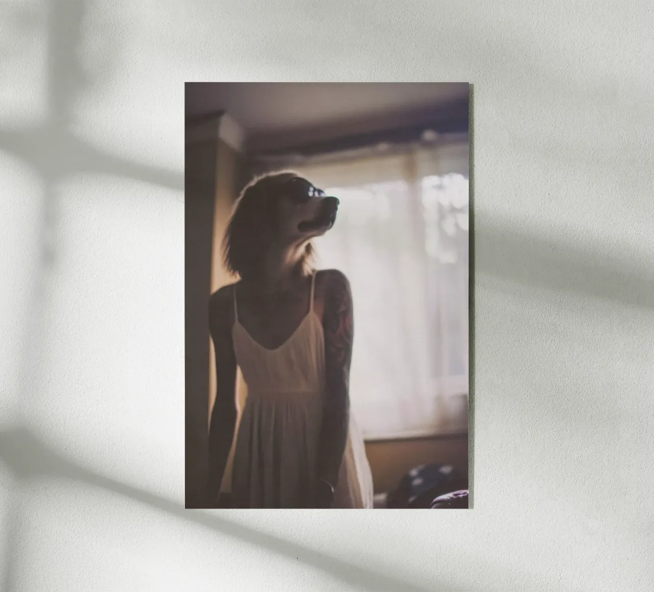 Emilie plexiglass da Affiches Chien Originales – Dogland