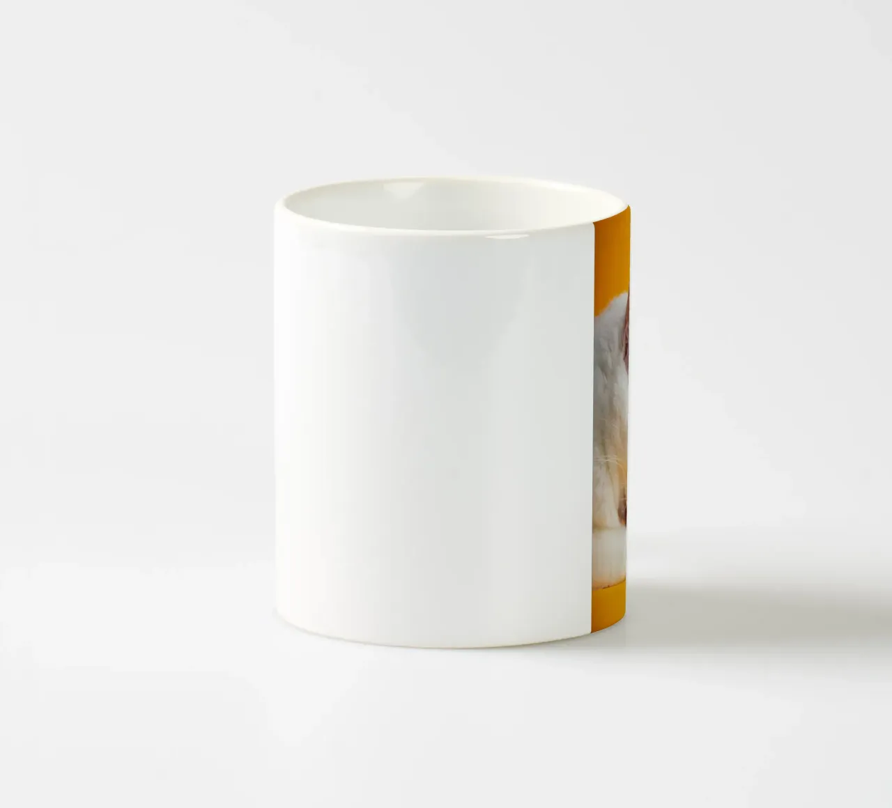 cat in the yellow shade tazza in ceramica da feny