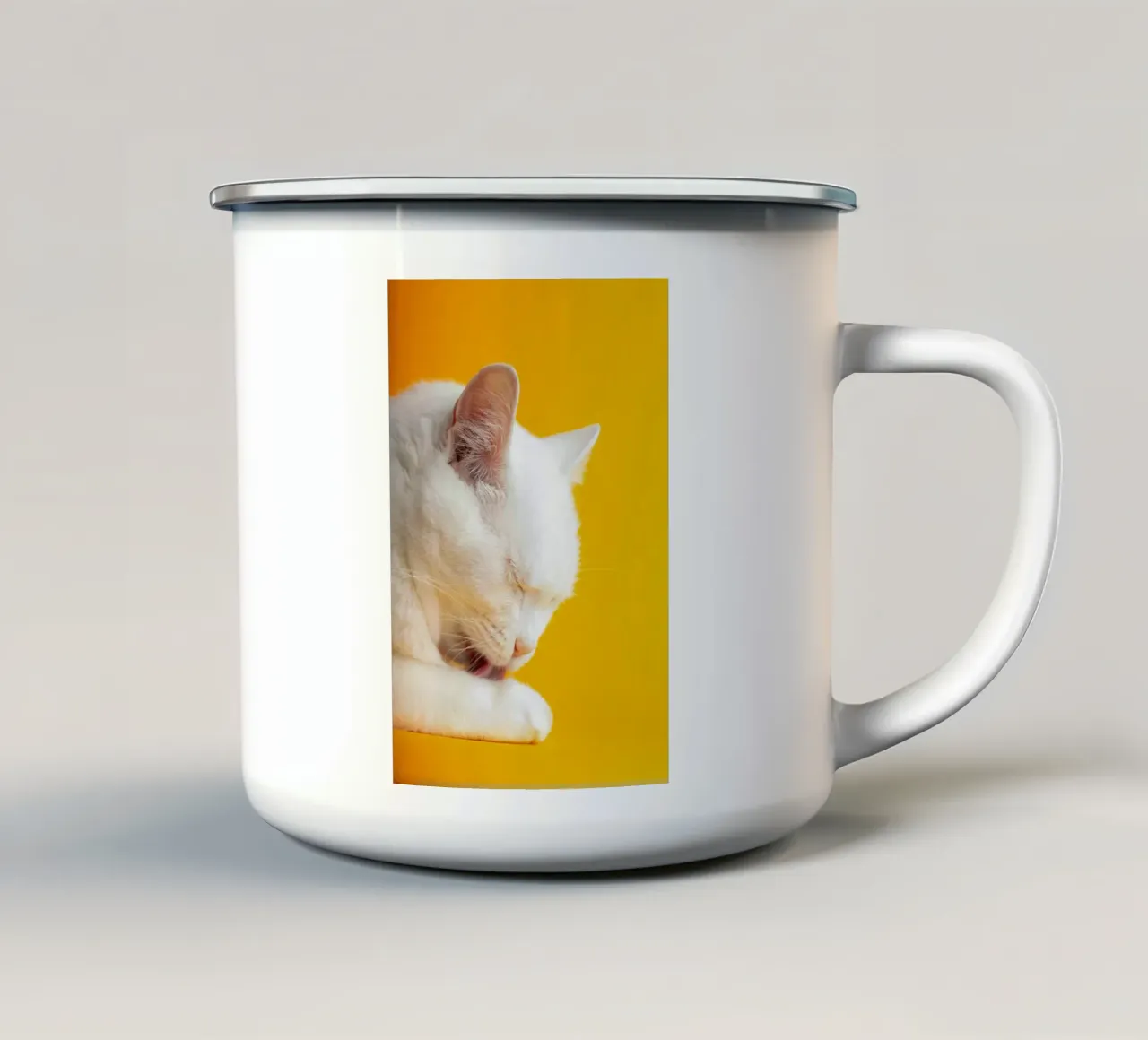 cat in the yellow shade tazza in smalto da feny