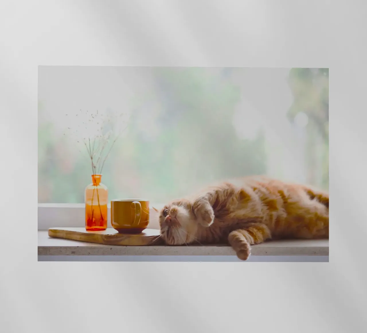 chill cat with juice pellicola backlit da feny