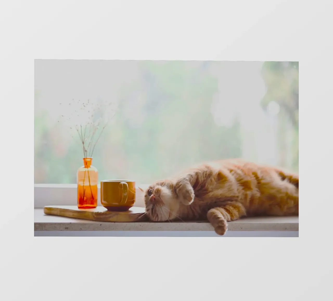 chill cat with juice telo in pvc da feny