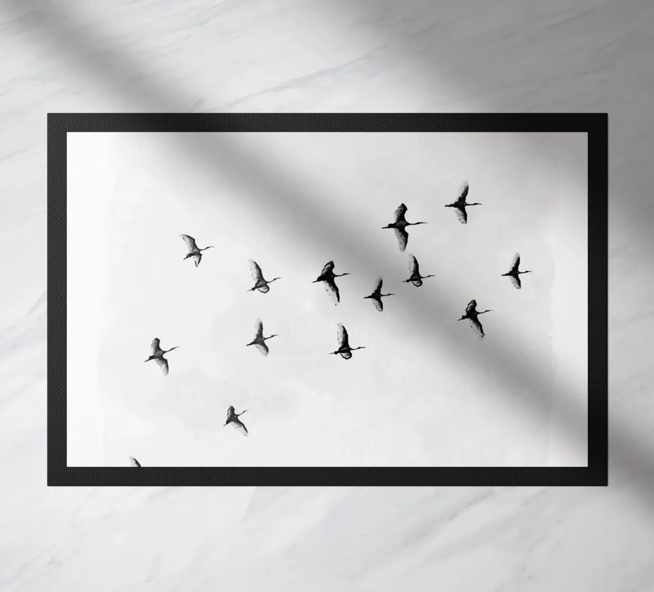 Flock of Birds zerbino da Nadjaa