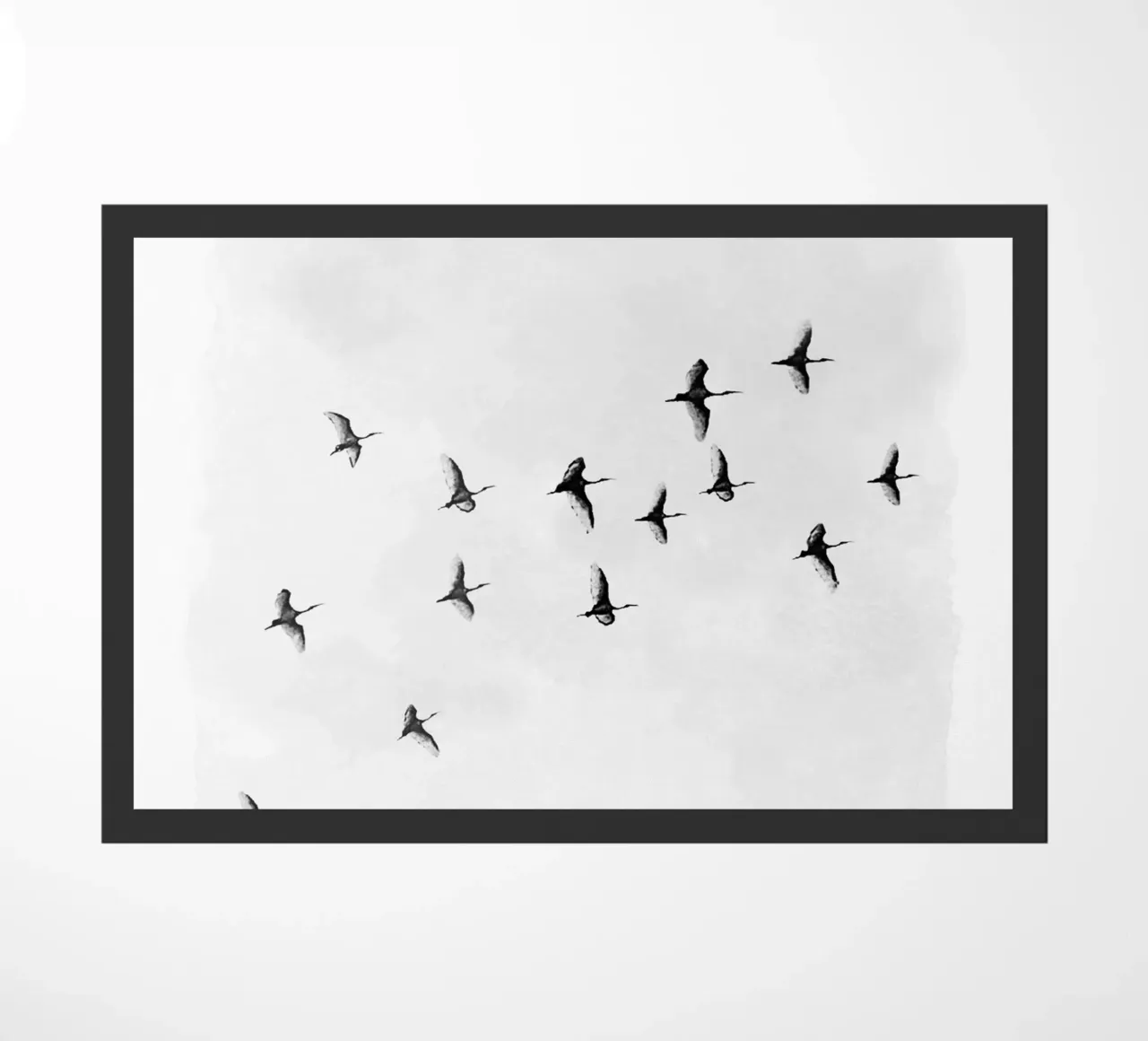 Flock of Birds zerbino da Nadjaa