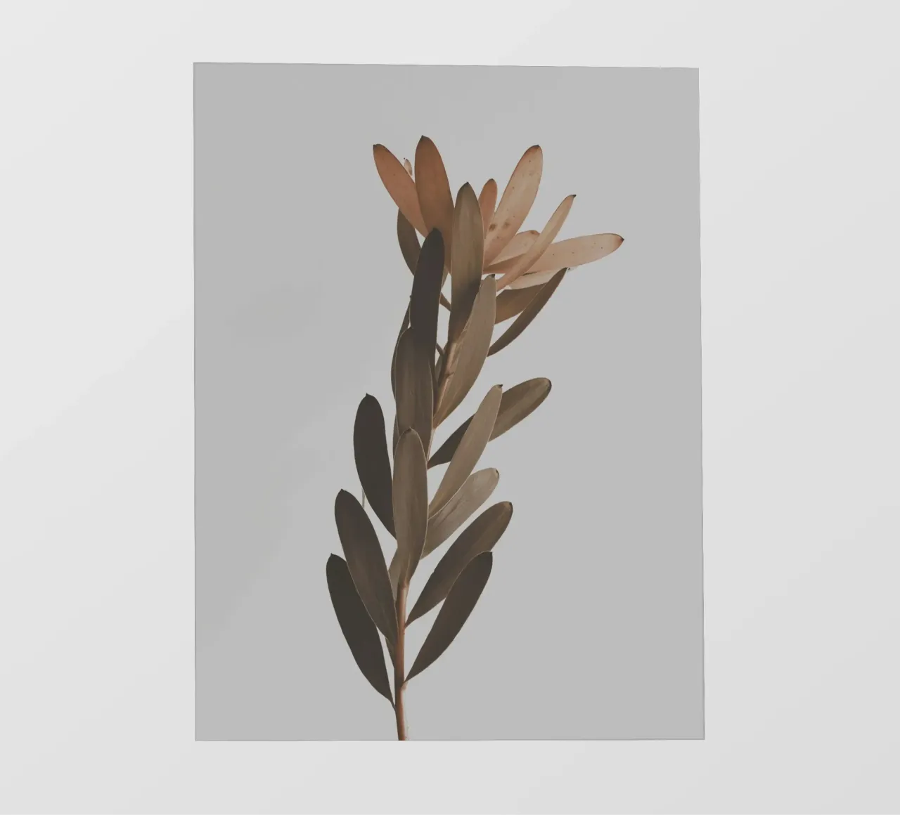 leaf on branch telo in pvc da comura