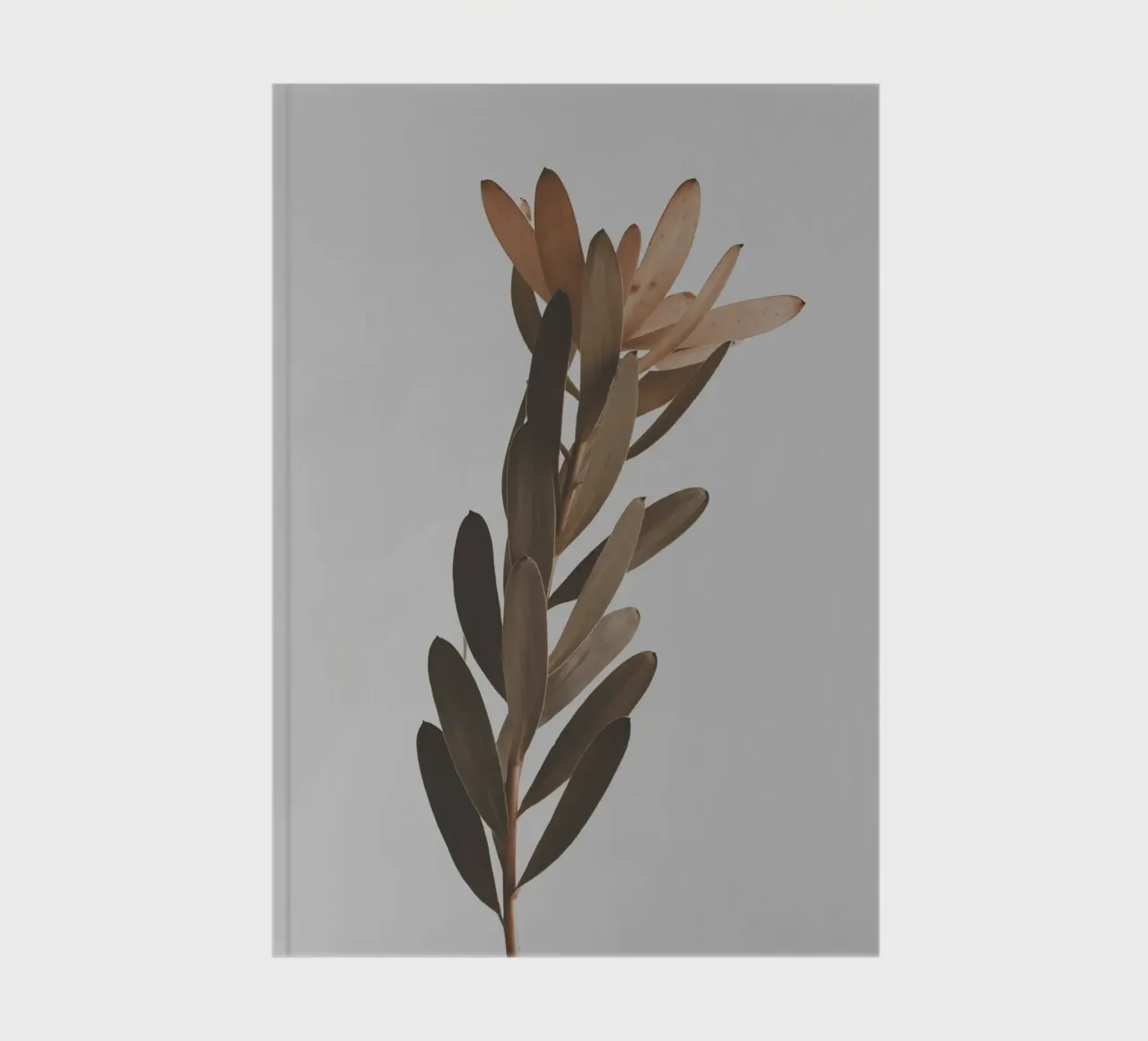 leaf on branch notebook by comura
