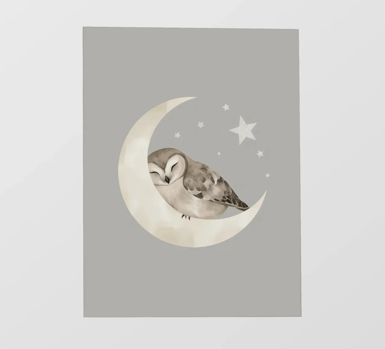 Simpatico gufo addormentato sulla mezzaluna con le stelle pellicola backlit da DesignDoodle