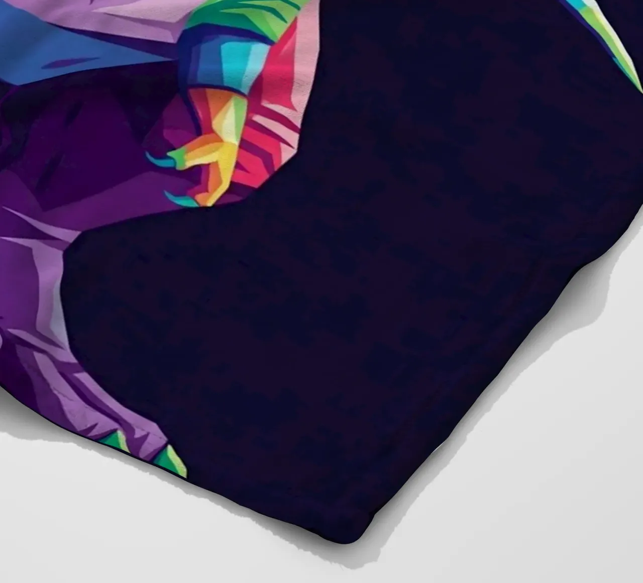 T-REX colorato pop art coperta in pile da Wild Life studio