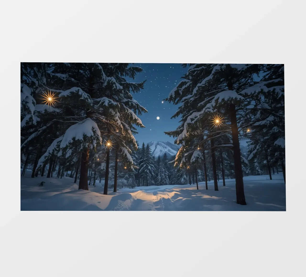 Foresta innevata di notte con luci stellari pellicola backlit da DesignDoodle