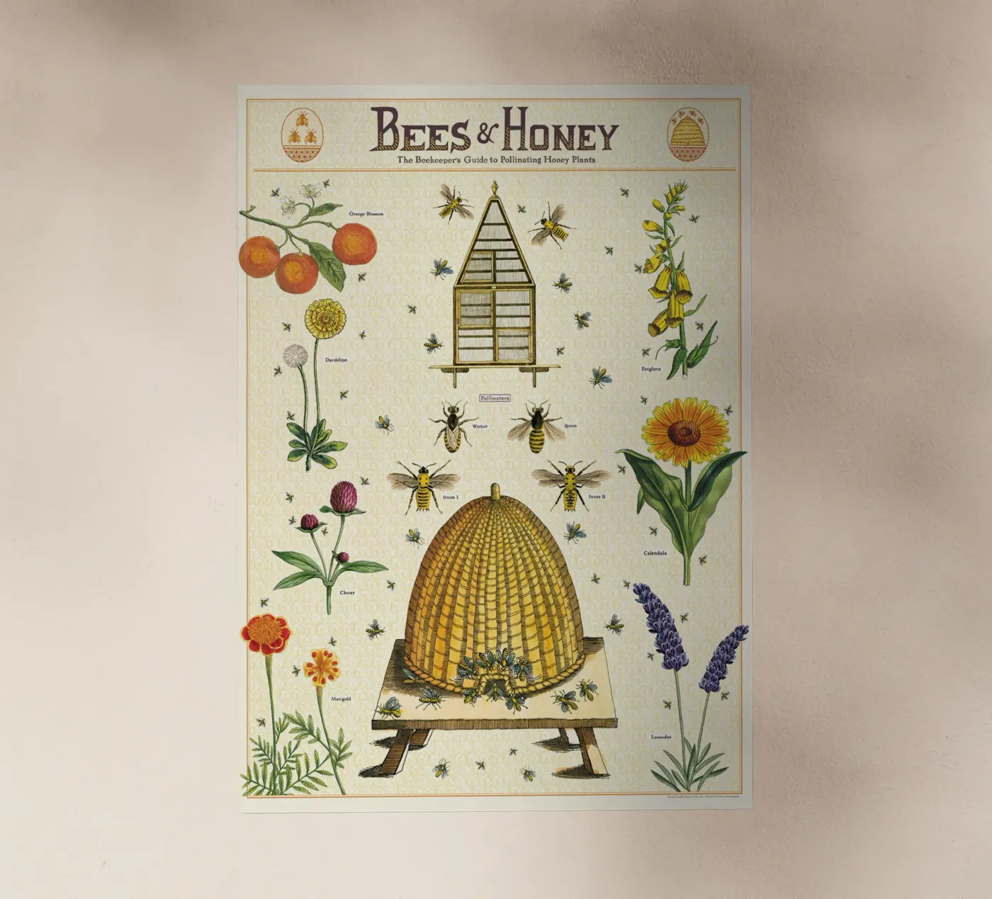 Api e miele pellicola backlit da Isaac Murray