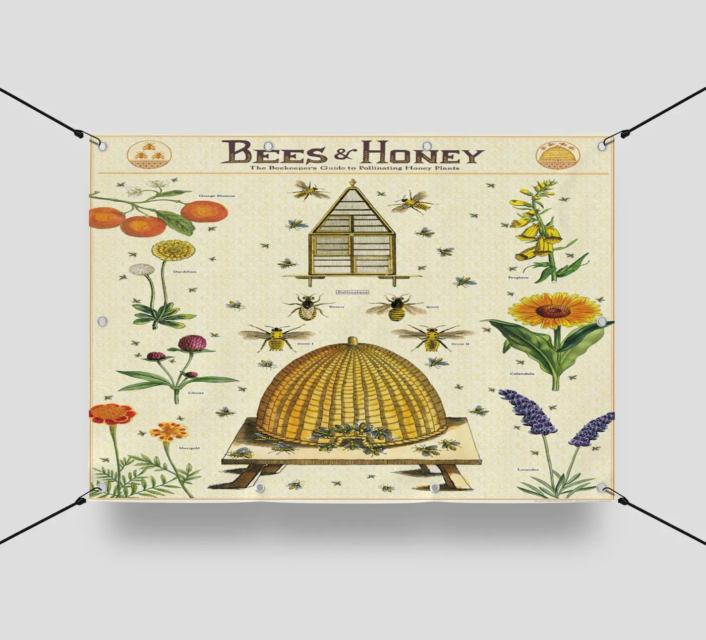 Bees & Honey pvc cover by Isaac Murray