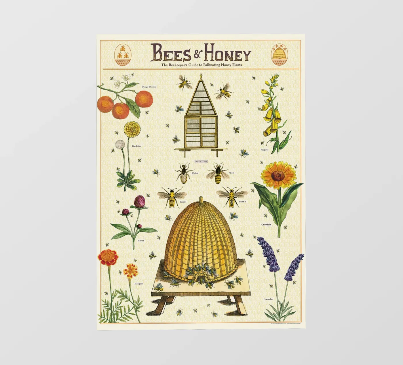 Bees & Honey pvc cover by Isaac Murray