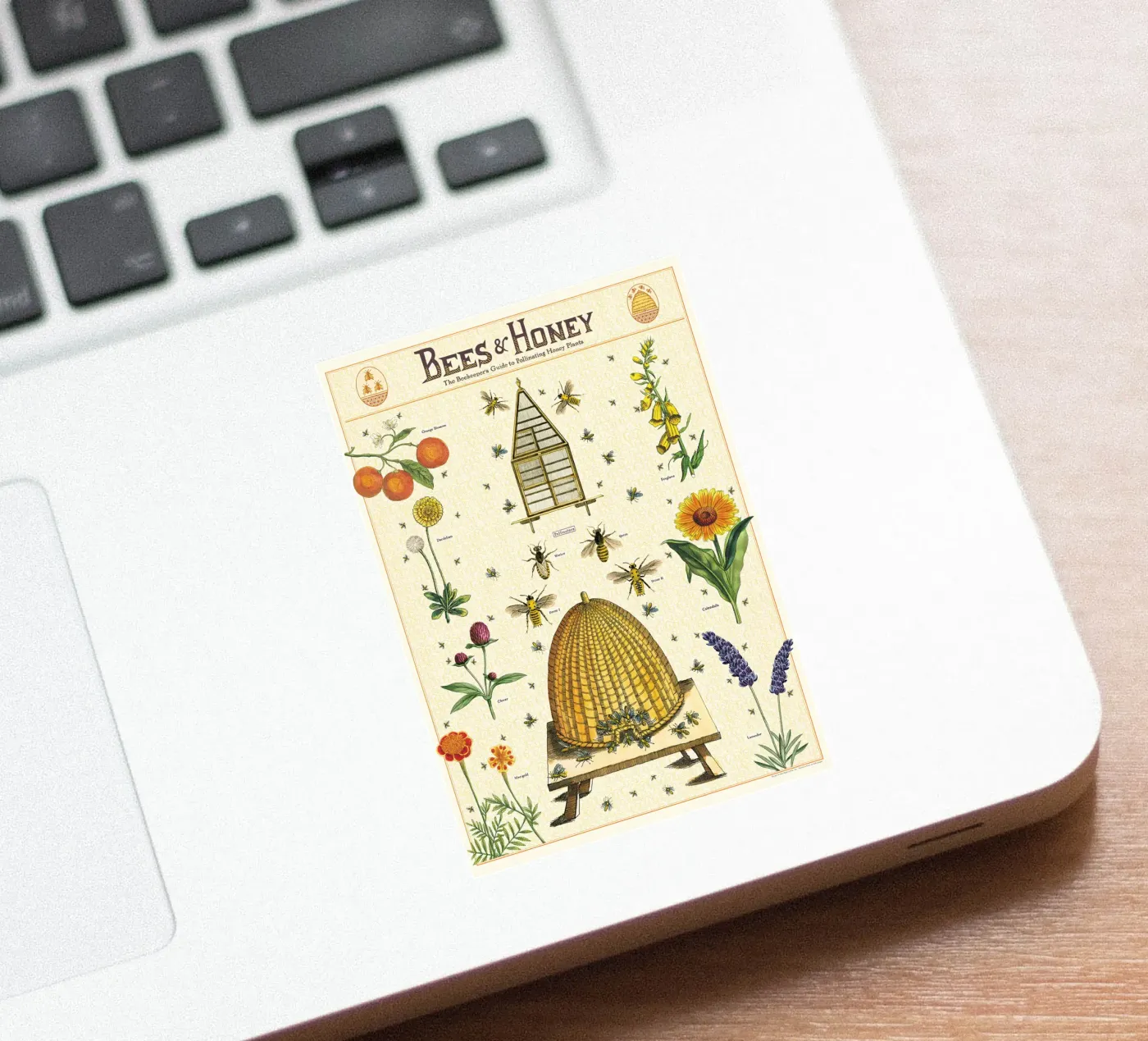 Api e miele adesivo da Isaac Murray