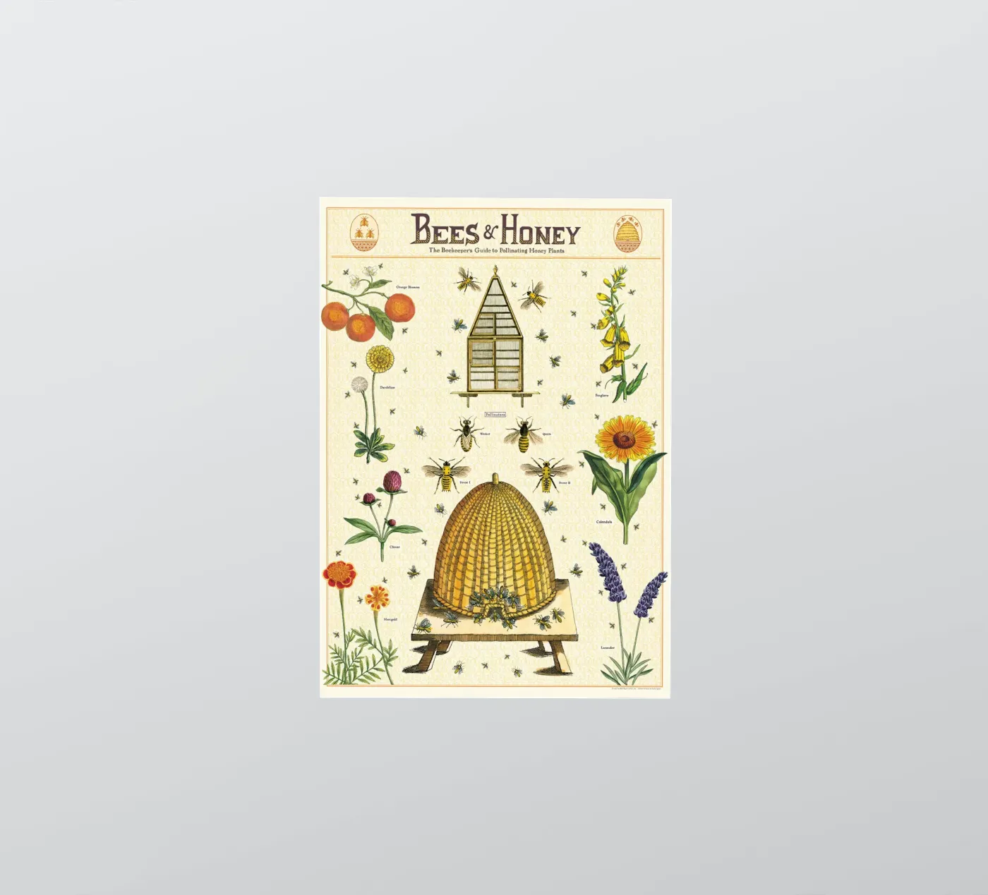 Api e miele adesivo da Isaac Murray