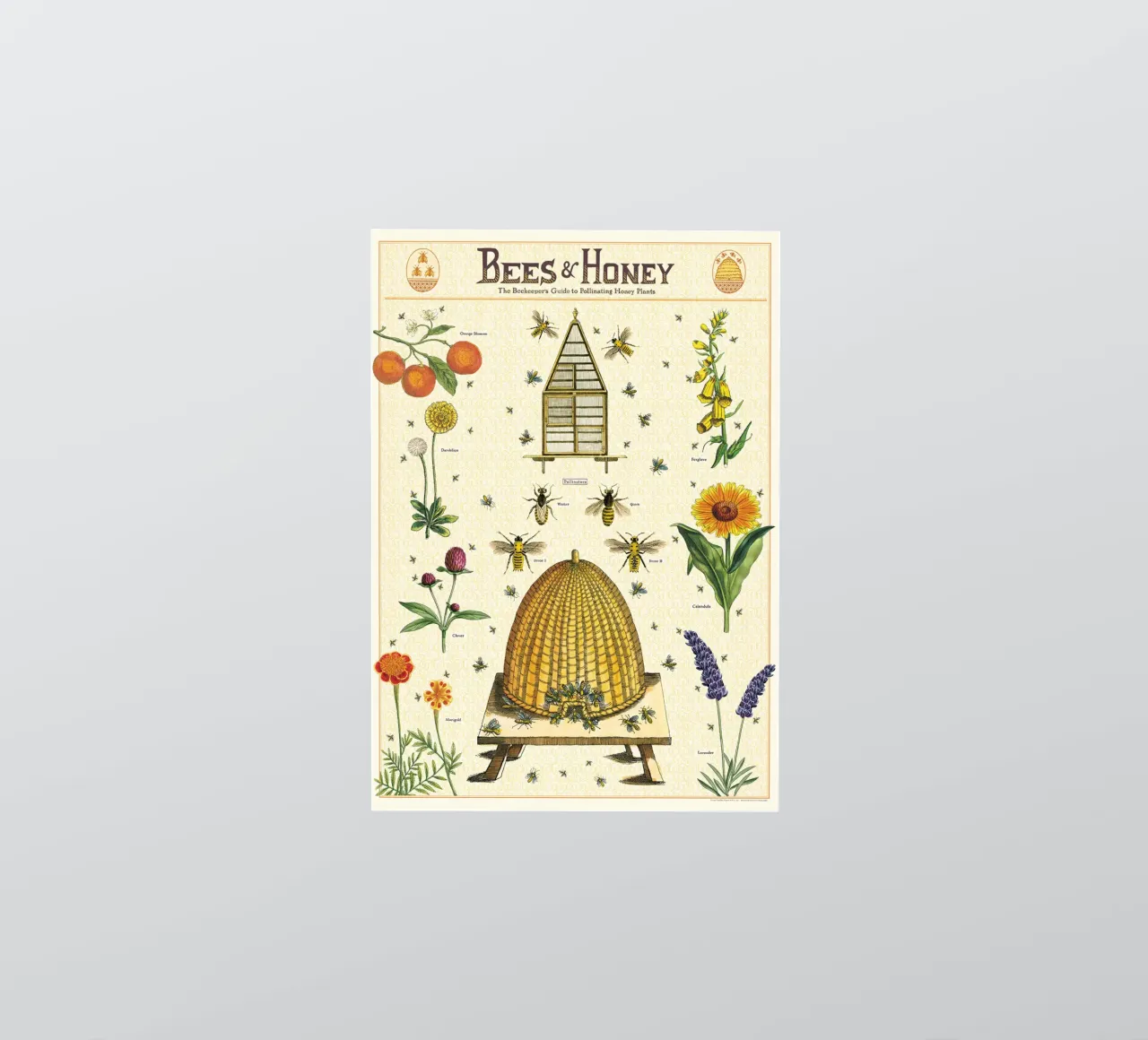 Api e miele adesivo da Isaac Murray