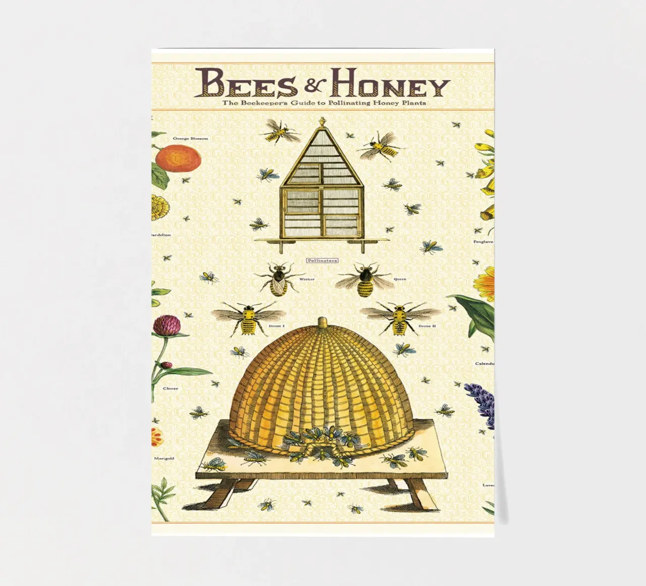 Api e miele foglio adesivo da Isaac Murray