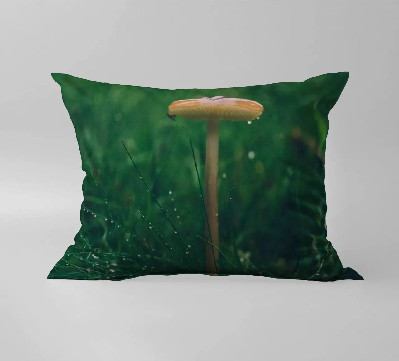 Funghi in autunno | Stile forchetta | Colori scuri e lunatici cuscino da Bold and Retro