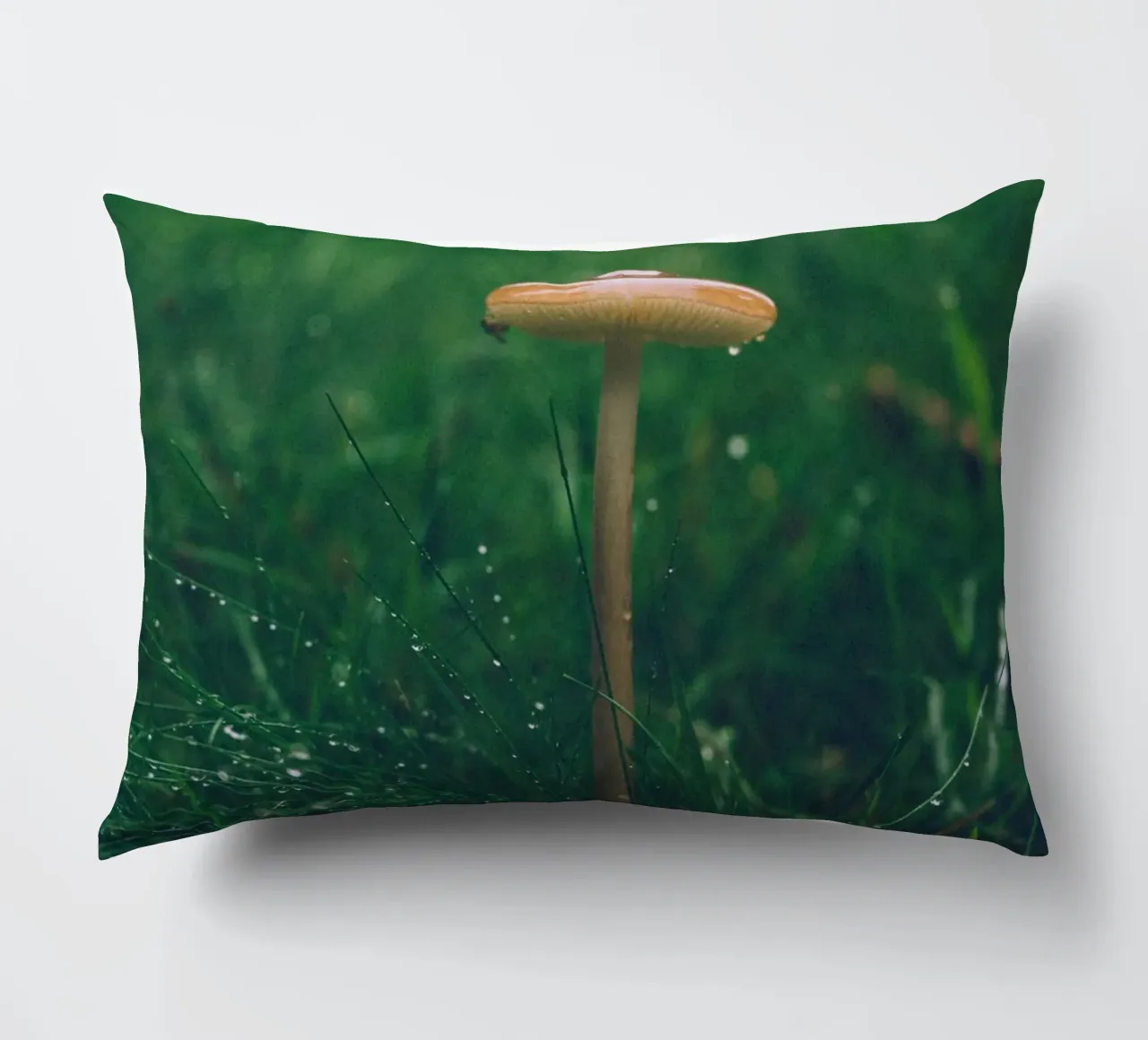 Funghi in autunno | Stile forchetta | Colori scuri e lunatici cuscino da Bold and Retro