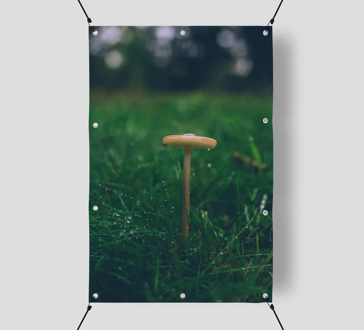 Funghi in autunno | Stile forchetta | Colori scuri e lunatici telo in pvc da Bold and Retro