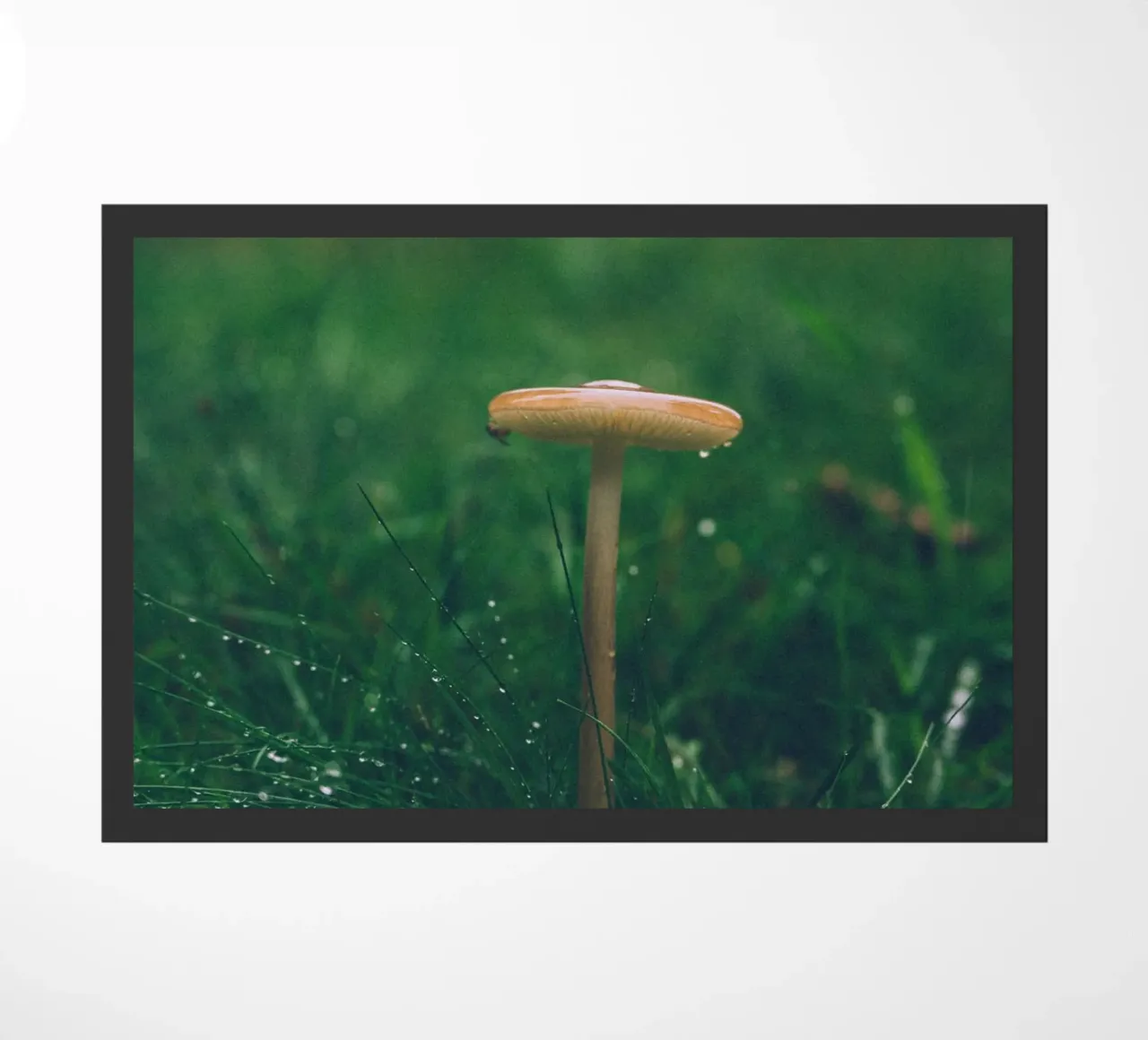 Funghi in autunno | Stile forchetta | Colori scuri e lunatici zerbino da Bold and Retro